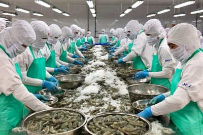 Thủ tướng Chính phủ yêu cầu nghiên cứu gói tín dụng 10 nghìn tỷ đồng cho ngành lâm, thủy sản