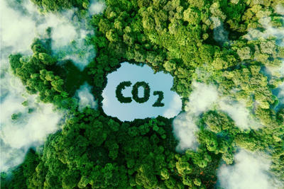 Vận hành sàn giao dịch tín chỉ carbon vào năm 2028