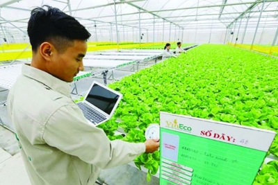 Bài học kinh tế nông nghiệp Trung Quốc