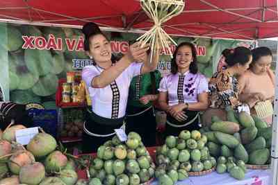 Xoài Sơn La đáp ứng tiêu chuẩn cao, “rộng cửa” vào Australia