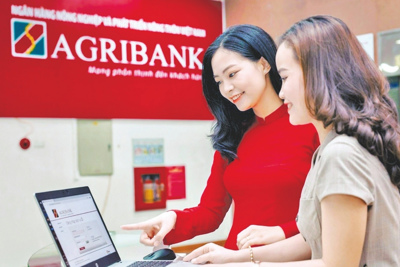 Các nhân tố ảnh hưởng đến chất lượng thông tin kế toán trên báo cáo tài chính tại các Chi nhánh Ngân hàng Agribank - Bình Thuận