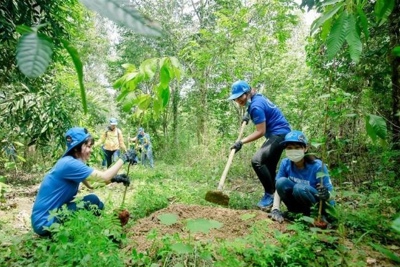 Phân tích các yếu tố kinh tế - xã hội của nông hộ ảnh hưởng đến rừng bảo tồn tại vùng đất than bùn tỉnh Cà Mau