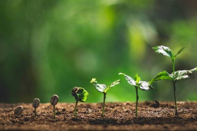Phát triển kinh tế xanh ở Việt Nam hiện nay 