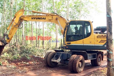 Đẩy nhanh tiến độ các dự án vùng dân tộc thiểu số