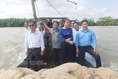 Bến Tre và Trà Vinh lựa chọn vị trí, quy mô xây dựng cầu Cổ Chiên 2