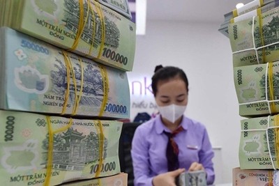 TP. Hà Nội: Tăng trưởng tín dụng 11 tháng ước đạt 13,8%