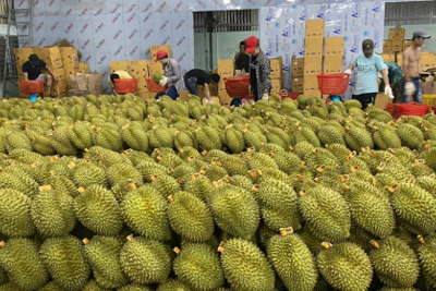 Những "gam sáng" của kinh tế Việt Nam năm 2023