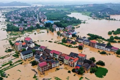 Hoàn thiện hành lang pháp lý để phát triển tín dụng "xanh"