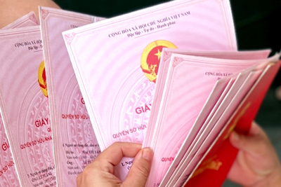 TP. Hồ Chí Minh: Nhiều người mua đất tại huyện Hóc Môn nhưng sổ đỏ lại cấp cho người khác