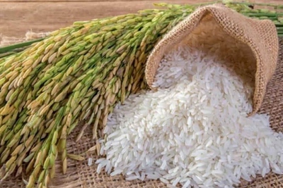 Từ lùm xùm "ai là chủ nhân" của gạo ngon nhất thế giới đến chuyện xây thương hiệu gạo Việt Nam