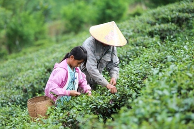 "Trái ngọt" giảm nghèo từ du lịch