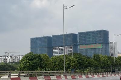 Niềm tin của người mua nhà đã thực sự phục hồi?