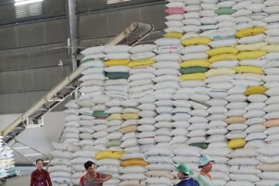 Giá gạo thế giới giảm, gạo Việt Nam vẫn giữ giá cao