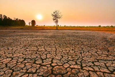 Hiện tượng El Nino đe doạ ngành công nghiệp của châu Phi
