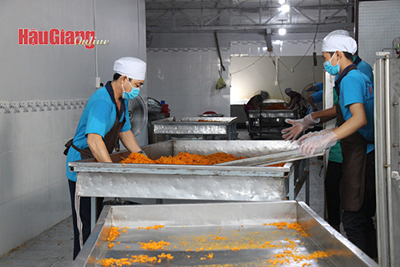Tỉnh Hậu Giang đã thu hút được 326 dự án đầu tư trong và ngoài khu, cụm công nghiệp