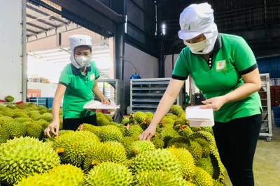 An Giang bứt phá tăng trưởng kinh tế
