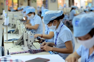 Công nghiệp hỗ trợ ngành Dệt may: Cần chú trọng nguồn nguyên liệu