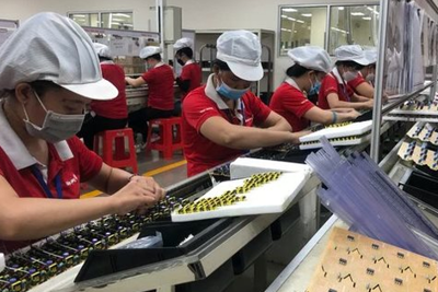 TP. Hồ Chí Minh ước tổng thu nội địa đạt 98,4% dự toán pháp lệnh