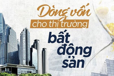Triển vọng thị trường bất động sản 2024 đến từ dòng vốn lớn