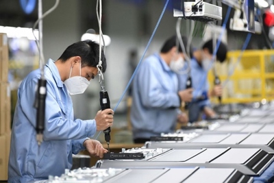 72% doanh nghiệp dự kiến giảm quy mô trong năm 2024
