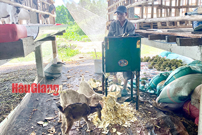 Xu thế của nền nông nghiệp hiện đại