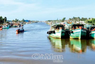 Quy định tàu đánh bắt cá vào cảng cần sát thực tế