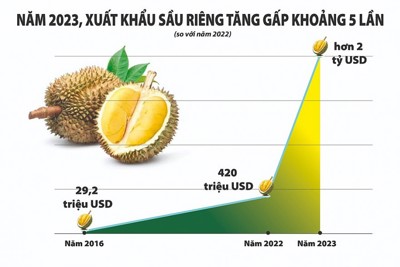 “Mở đường” để xuất khẩu rau quả cán mốc 10 tỷ USD