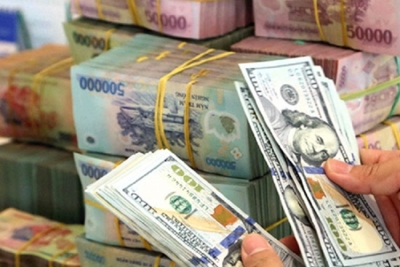 Tỷ giá năm 2024 có thể tăng ở mức 2-3%