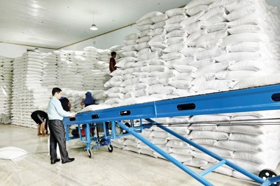 Chủ động đổi mới, hiện đại hóa hoạt động quản lý nguồn lực Dự trữ quốc gia