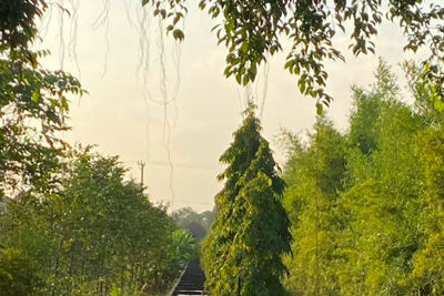 Sẽ tính đúng, tính đủ giá dịch vụ thủy lợi