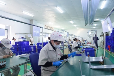Năm Rồng với kỳ vọng bứt tốc của nền kinh tế