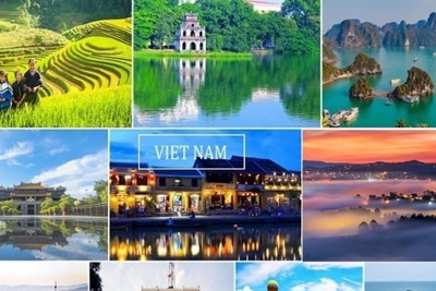 Nhiều hoạt động thu hút du khách dịp Tết Nguyên đán