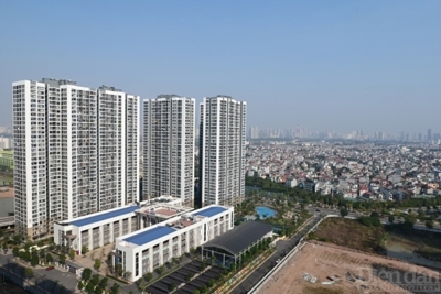 Động lực thúc đẩy thị trường bất động sản năm 2024