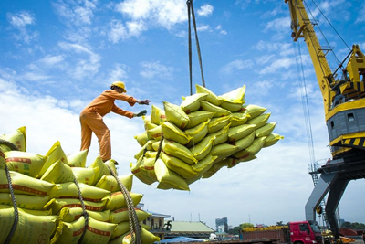 Xuất khẩu tăng mạnh 3 con số, gạo Việt Nam "rộng cửa" tại thị trường Senegal