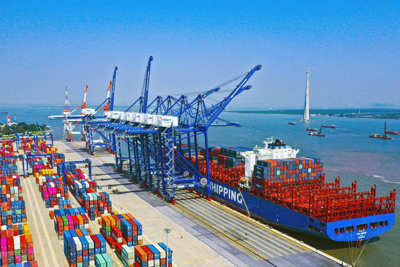 Khẩn trương hoàn thiện Hồ sơ điều chỉnh Quy hoạch tổng thể hệ thống cảng biển Việt Nam