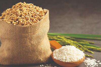 Thị trường lúa gạo thế giới: Xu hướng và những tác động đến Việt Nam