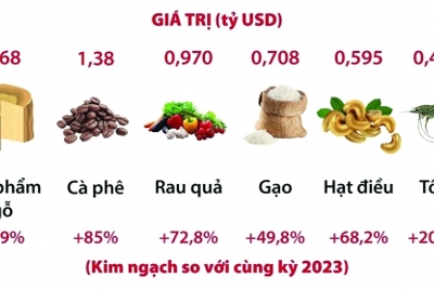Cấp thiết định vị thương hiệu nông sản Việt