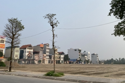 Thị trường đất nền ven Hà Nội đang diễn biến ra sao?