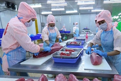 Xuất khẩu cá ngừ khó cán mốc “tỷ đô”