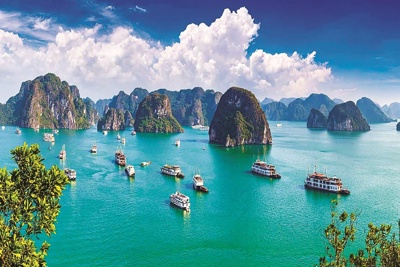 Khuyến khích doanh nghiệp phát triển du lịch xanh