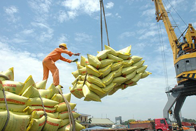 Các thị trường lớn "nườm nượp" nhập hàng, xuất khẩu nông lâm thủy sản 5 tháng đạt hơn 24 tỷ USD