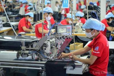 Tăng trưởng GDP của Việt Nam trong năm 2024 được dự đoán bao nhiêu?