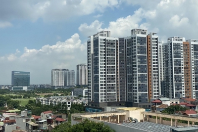 Loại hình bất động sản nào sẽ dẫn dắt dòng tiền? 