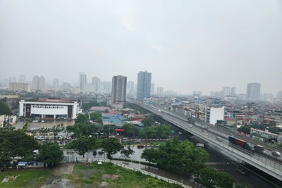 Sớm đưa các quy định pháp luật đất đai vào cuộc sống