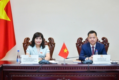 Đoàn đại biểu Quốc hội Việt Nam dự cuộc họp tư vấn Nhóm Nghị sĩ trẻ AIPA