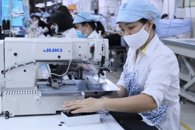 SỬA LUẬT THUẾ THU NHẬP DOANH NGHIỆP: CẢI CÁCH HỆ THỐNG CHÍNH SÁCH THUẾ