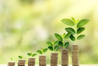 Xu hướng đầu tư trái phiếu xanh ở Việt Nam và những khuyến nghị