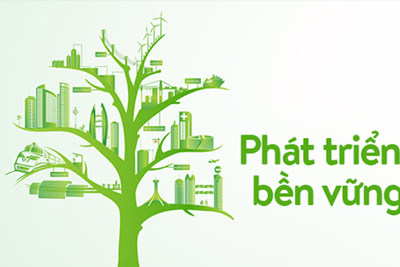 Tác động của giao dịch nhà đầu tư nước ngoài đến chỉ số phát triển bền vững