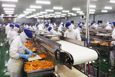 Yếu tố ảnh hưởng đến công nợ phải thu của các doanh nghiệp sản xuất thực phẩm Việt Nam