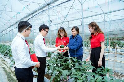 Agribank tiếp tục kích hoạt gói tín dụng ưu đãi, hỗ trợ khách hàng cá nhân Agribank tiếp tục kích hoạt gói tín dụng ưu đãi, hỗ trợ khách hàng cá nhân